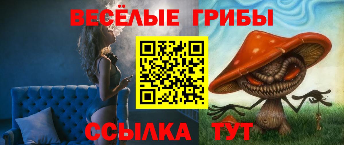 Галлюциногенные грибы мицелий Кашира
