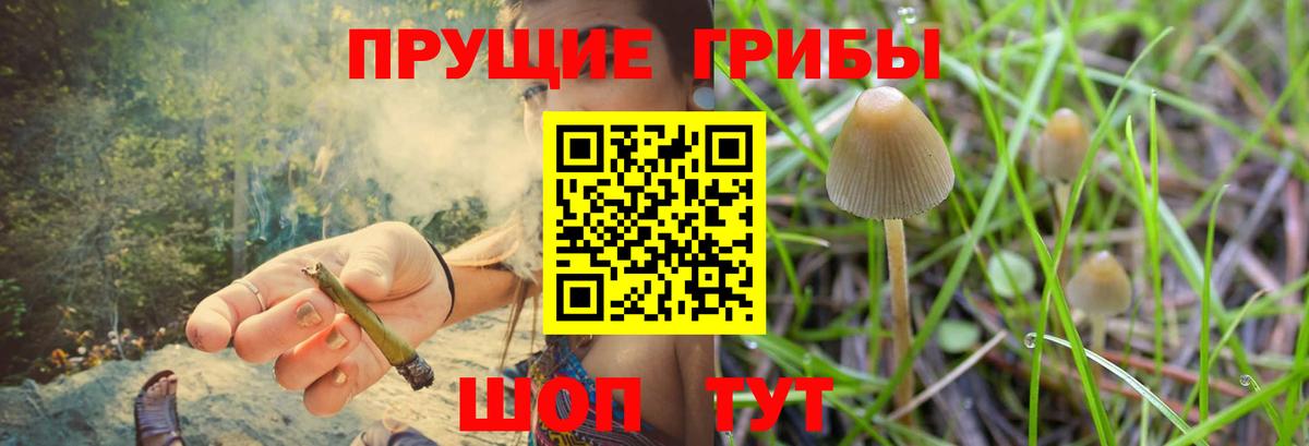 Кашира  Галлюциногенные грибы GOLDEN TEACHER  наркота  Вход с VPN  Галлюциногенные грибы мухоморы 